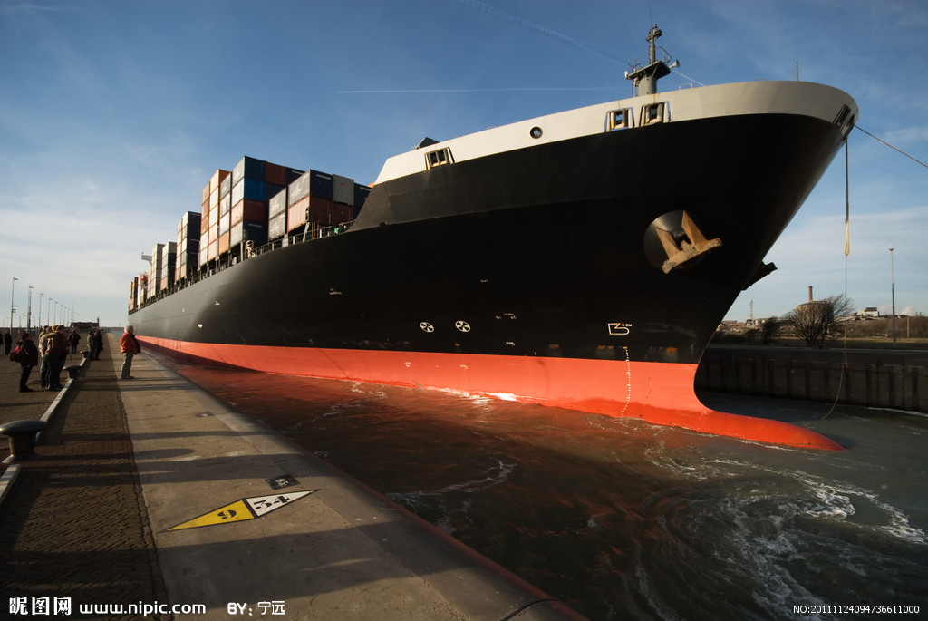 Species of Container and the Abbreviations